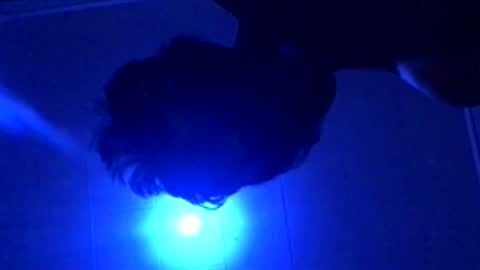 Snapshot of senseisalami chatting on November 27, 2025, 9:22 am senseisalami online show from November 27, 2025, 9:22 am