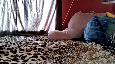 sexiwhiskey699 online show from February 21, 2026, 10:33 pm