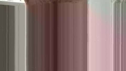 Snapshot of sexland0071 chatting on January 18, 2026, 6:06 am Sexland online show from January 18, 2026, 6:06 am