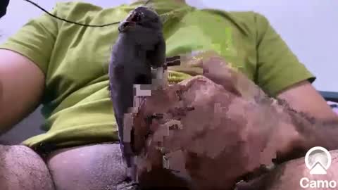 Snapshot of sexmachine4ubabes chatting on December 9, 2024, 3:50 am sexmachine4ubabes online show from December 9, 2024, 3:50 am