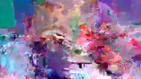 Snapshot of sexxycotton chatting on April 10, 2026, 7:24 am sexxycotton online show from April 10, 2026, 7:24 am