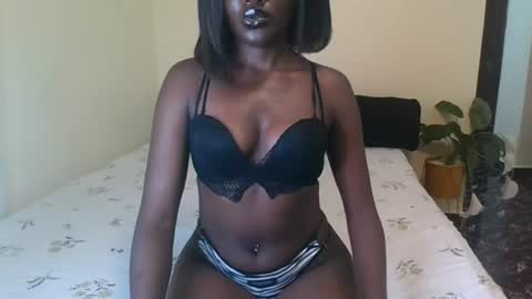 Arria online show from July 4, 2026, 2:12 pm