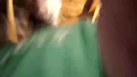 Snapshot of sexy_richy chatting on April 12, 2026, 11:26 am RICHY online show from April 12, 2026, 11:26 am