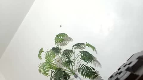 sexyhotbabe18 online show from March 7, 2026, 9:56 pm