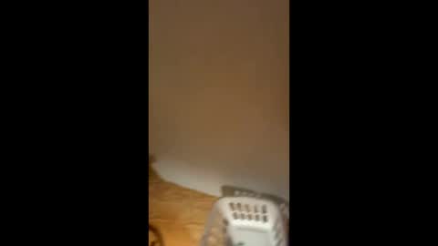 Snapshot of sexytsmstars chatting on February 11, 2026, 7:02 am Smooth bi guy online show from February 11, 2026, 7:02 am