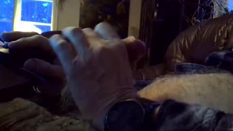 sgthard260486 online show from February 9, 2026, 6:28 am