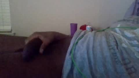 Snapshot of shameak chatting on October 28, 2025, 2:48 am Shameak online show from October 28, 2025, 2:48 am