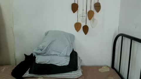 Snapshot of shanegreents chatting on June 22, 2026, 4:31 am bini aiah online show from June 22, 2026, 4:31 am