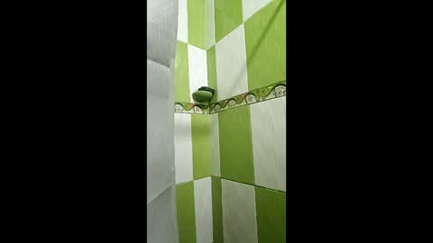 shanelle7 online show from February 23, 2026, 12:13 pm