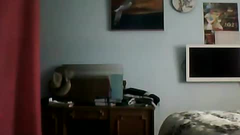 Snapshot of shaomy711 chatting on January 2, 2025, 9:33 am excelo21 online show from January 2, 2025, 9:33 am