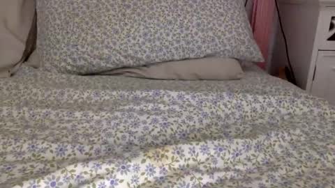 Snapshot of shavednsw chatting on March 28, 2026, 8:58 am shavednsw online show from March 28, 2026, 8:58 am