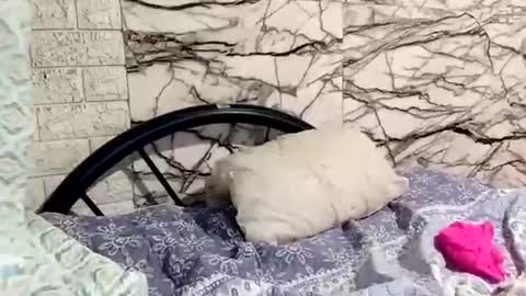 Snapshot of shayka09 chatting on March 23, 2026, 5:44 am shayka09 online show from March 23, 2026, 5:44 am