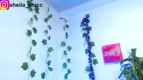 Snapshot of sheila_bigcok chatting on December 9, 2024, 7:39 pm SHEILA  online show from December 9, 2024, 7:39 pm