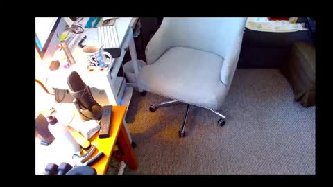 Shelaacd online show from October 16, 2025, 12:39 pm