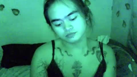 Snapshot of shimilove chatting on July 24, 2026, 5:55 pm shimilove online show from July 24, 2026, 5:55 pm