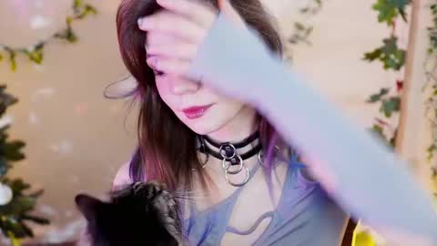 Snapshot of shiny_jail chatting on January 15, 2025, 12:09 am JennyMira   THANK YOU FOR 77 777  online show from January 15, 2025, 12:09 am