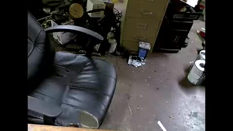 Shoani online show from November 8, 2025, 7:41 am