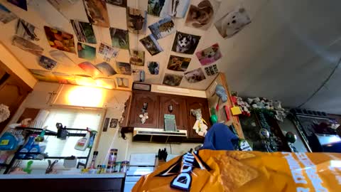 shorty920505 online show from September 29, 2025, 10:03 pm