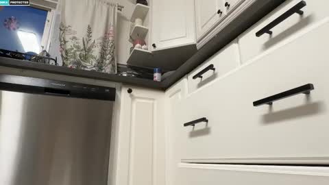 Snapshot of shygingerpnw chatting on October 11, 2025, 1:49 am shygingerpnw online show from October 11, 2025, 1:49 am