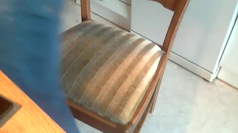 Snapshot of sibblii0 chatting on January 7, 2025, 7:42 am Seba online show from January 7, 2025, 7:42 am