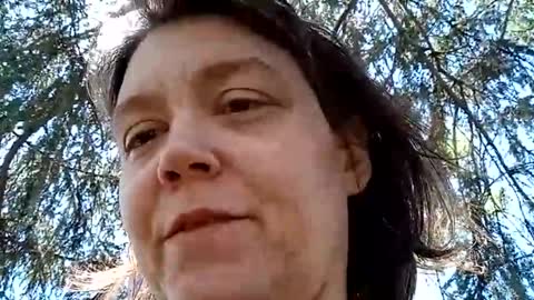 Bush with a class 3 rating online show from April 23, 2026, 5:48 pm