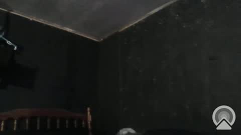 Snapshot of sikwitit625 chatting on December 29, 2024, 4:40 pm Cdub625 online show from December 29, 2024, 4:40 pm