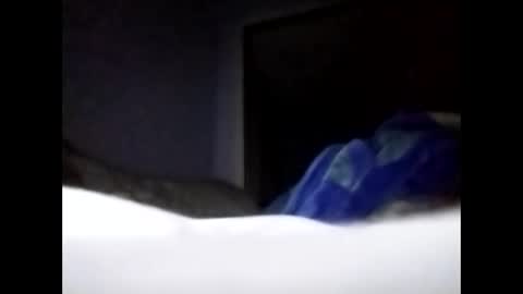 sil15nissan online show from March 27, 2026, 2:39 pm