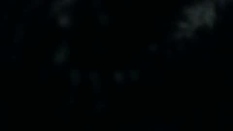 Silkey online show from December 10, 2024, 1:22 pm