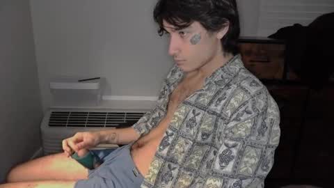 Snapshot of silly_cybin chatting on January 31, 2025, 12:07 pm cybin online show from January 31, 2025, 12:07 pm