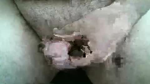 Snapshot of singlestr8man chatting on March 9, 2026, 12:09 pm HardNSouthern online show from March 9, 2026, 12:09 pm