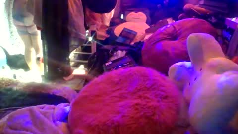 Snapshot of siofra chatting on March 16, 2026, 5:39 pm Siofra online show from March 16, 2026, 5:39 pm