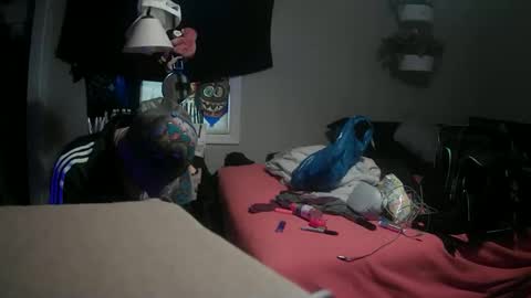 Danny skiff online show from March 9, 2025, 7:37 pm