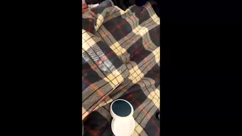 Snapshot of sirgalaxy chatting on November 2, 2025, 1:46 pm sirgalaxy online show from November 2, 2025, 1:46 pm