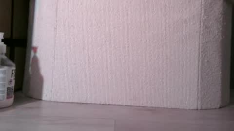 Snapshot of sis19student chatting on December 3, 2025, 2:19 am Anal4BTC online show from December 3, 2025, 2:19 am