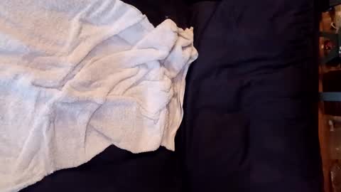 Snapshot of sisiam112 chatting on February 1, 2025, 5:37 pm sisiam112 online show from February 1, 2025, 5:37 pm