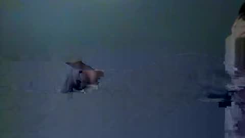 skeeter4fun73 online show from December 20, 2025, 1:40 pm