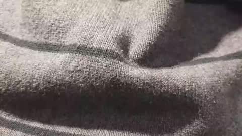 Snapshot of skeetzmgee chatting on November 12, 2025, 5:57 pm skeetzmgee online show from November 12, 2025, 5:57 pm