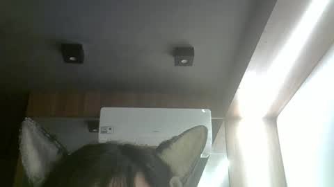 skinnykittencam online show from March 27, 2026, 8:37 am