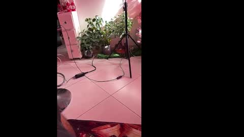 Snapshot of skinnylatin69 chatting on January 6, 2025, 8:50 pm skinnylatin69 online show from January 6, 2025, 8:50 pm