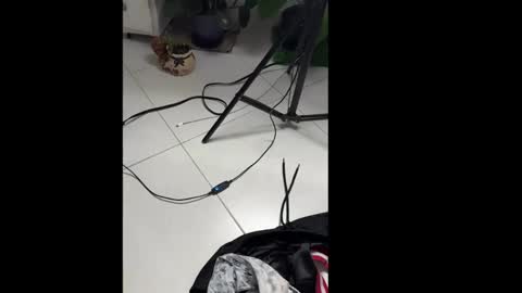 Snapshot of skinnylatin69 chatting on January 20, 2025, 2:32 am skinnylatin69 online show from January 20, 2025, 2:32 am