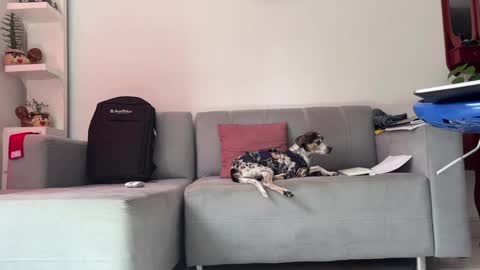 Snapshot of skinnylatin69 chatting on January 31, 2025, 6:36 pm skinnylatin69 online show from January 31, 2025, 6:36 pm