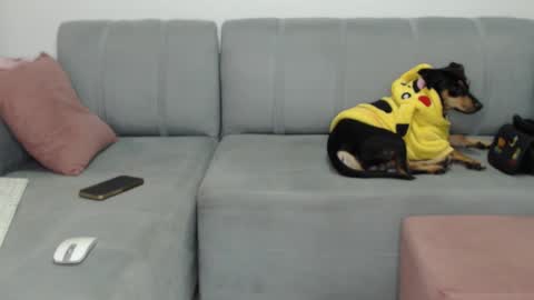 Snapshot of skinnylatin69 chatting on February 8, 2025, 2:26 am skinnylatin69 online show from February 8, 2025, 2:26 am