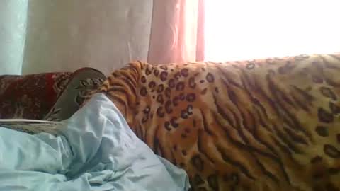 Snapshot of skyressie333 chatting on June 19, 2026, 7:56 am skyressie333 online show from June 19, 2026, 7:56 am