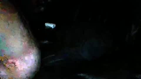 slideitin96 online show from January 30, 2025, 3:11 am