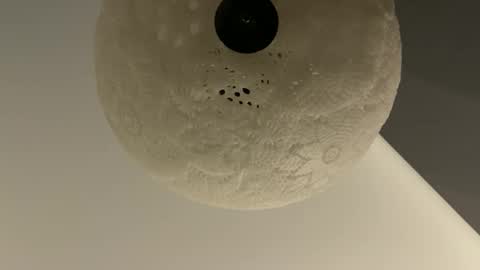 Snapshot of slimguy03 chatting on January 28, 2025, 3:25 am slimguy03 online show from January 28, 2025, 3:25 am