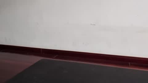 Snapshot of slutfactor chatting on March 31, 2026, 6:36 am slutfactor online show from March 31, 2026, 6:36 am