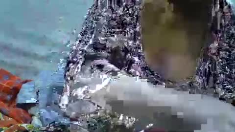 Snapshot of slutmeoutbb chatting on September 21, 2025, 5:36 pm slutmeoutbb online show from September 21, 2025, 5:36 pm