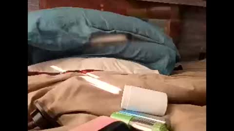 Nastyguurl online show from March 30, 2026, 1:56 pm