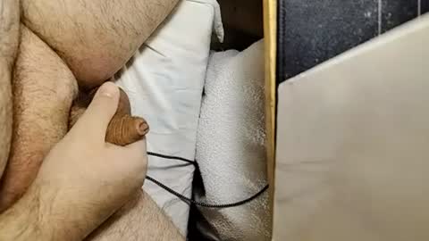 transmisin gratuita bajo demanda  free broadcast on demand online show from July 25, 2026, 12:31 am
