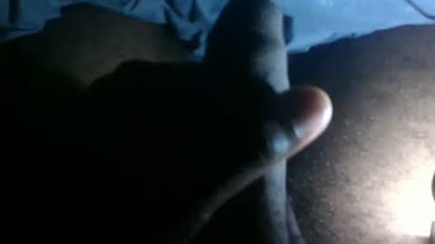 snkr1244 online show from November 10, 2025, 4:33 am